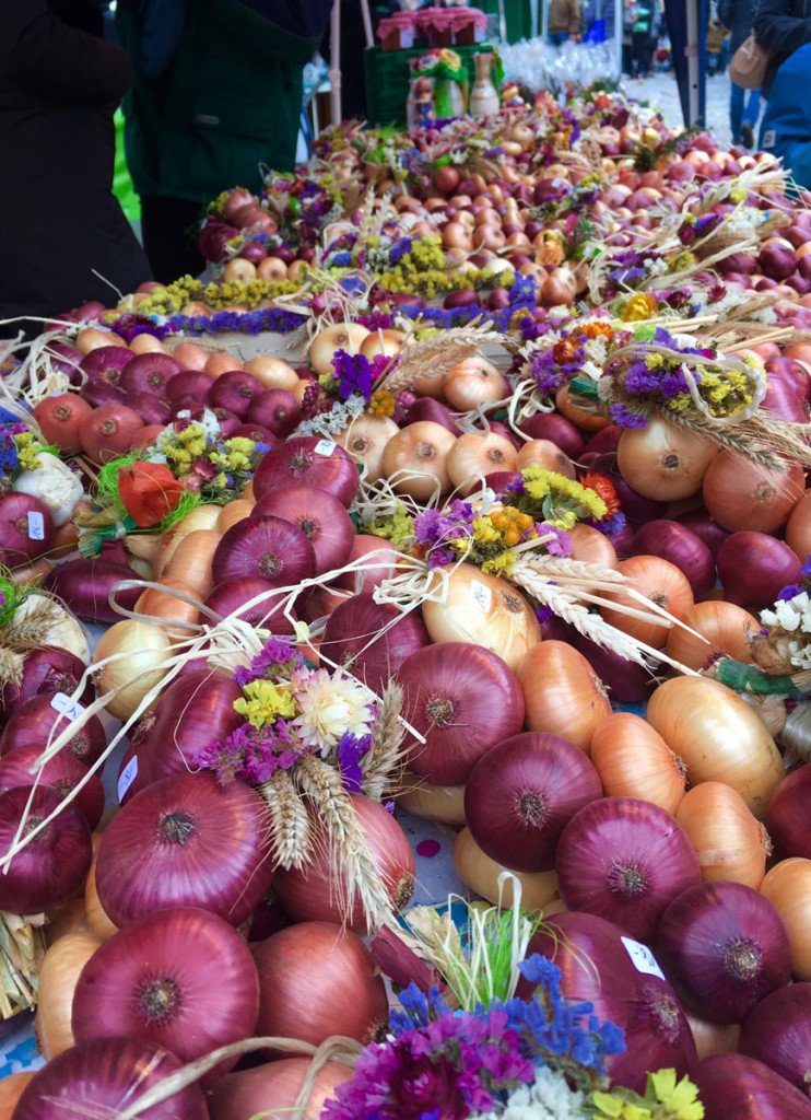 Onion Festival in Bern Balmers Hostel