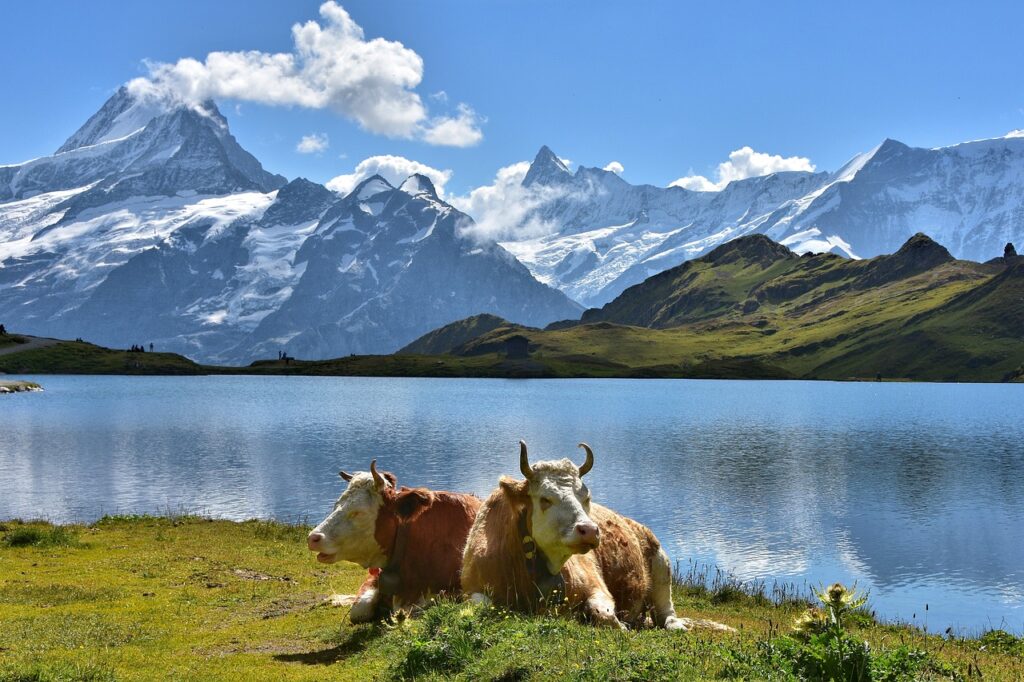 Bachalpsee first grindelwald hike